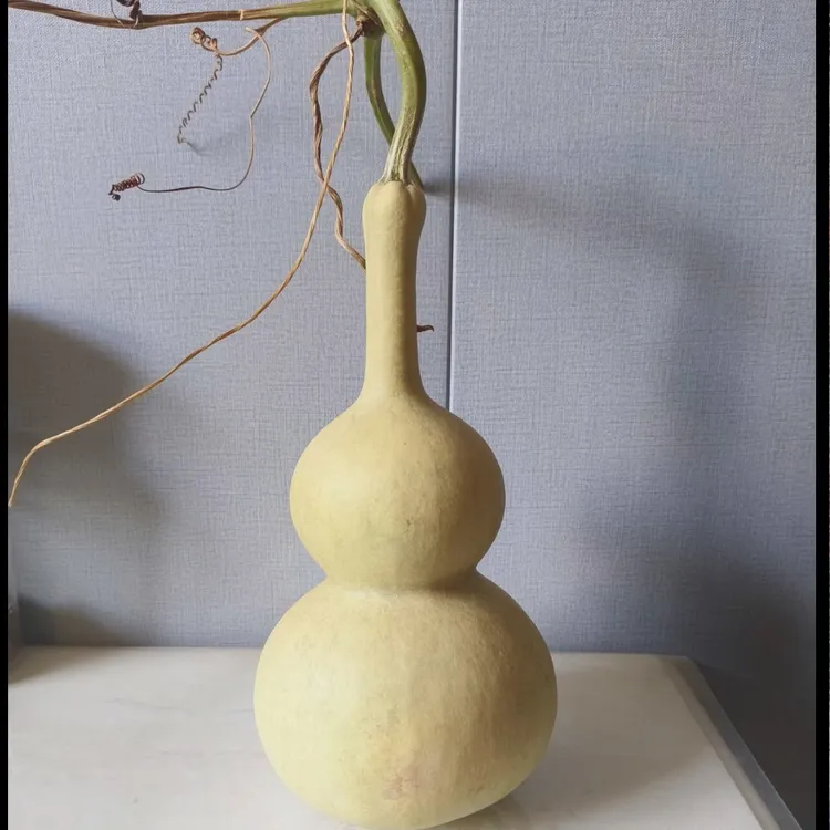 精品葫芦享链接运输过程不保龙头