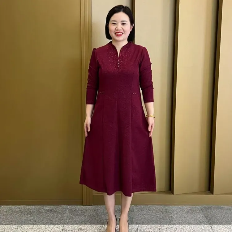2025春季新款V领提花连衣裙遮肉显瘦气质高端礼服裙子