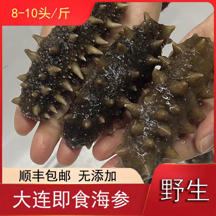 大连野生即食辽参（8~10头）/斤无添加顺丰包邮大连辽参大连辽刺参