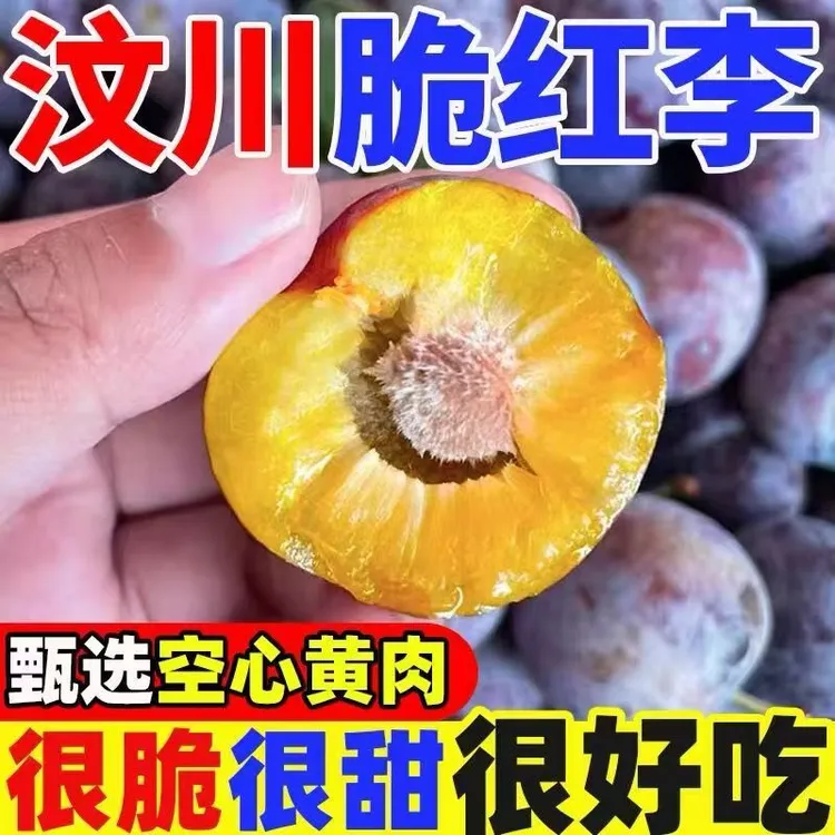 【顺丰速递】红脆李脱骨李汶川高山脆红李新鲜水果脆甜多汁精选5斤