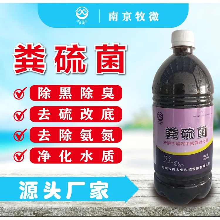 粪硫菌 水产养殖 降解底部残留 改底 活化底泥  厂家直发包邮 1箱