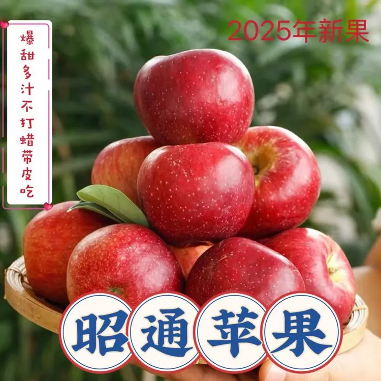 云南高山冰糖心丑苹果新鲜采摘脆甜多汁当季水果