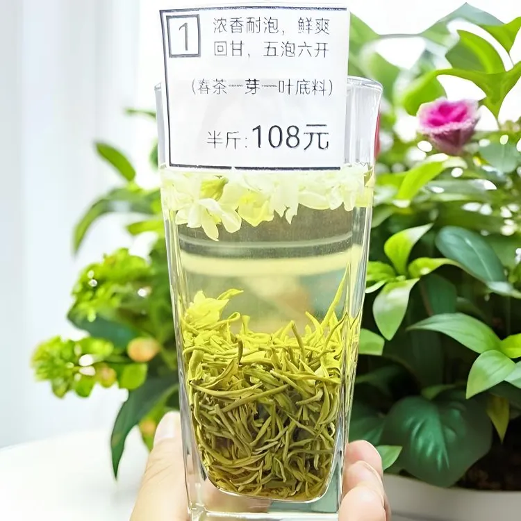 雅丽茗2025年四川蒙顶山新浓香耐泡飘雪茉莉花茶茶叶好喝自产自销