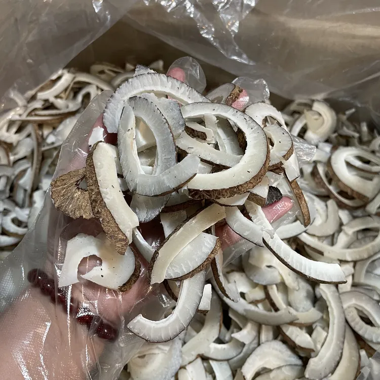 珠海发货  海椰皇椰子条 煲汤羊肚菌椰皇鸡汤 响螺片椰子鸡