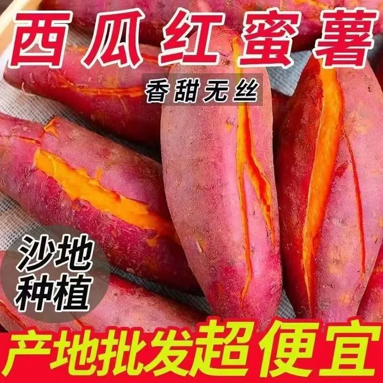 【热卖】河南正宗西瓜红蜜薯新鲜农家自种沙地西瓜红蜜薯整箱批发