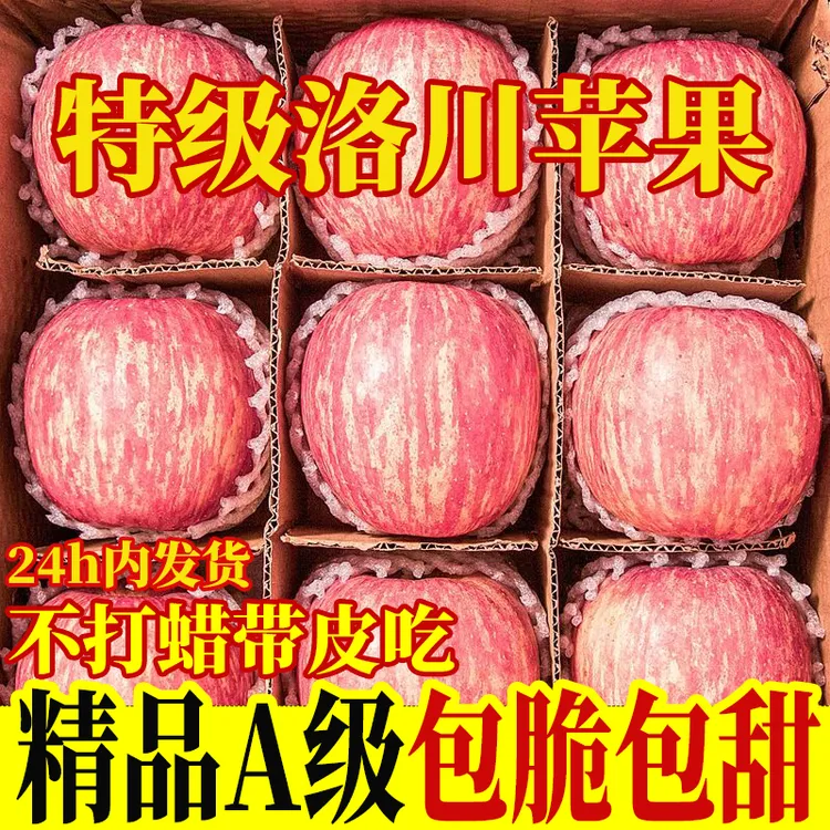 正宗陕西洛川红富士苹果新鲜当季采摘脆甜多汁可带皮吃2/5/10斤