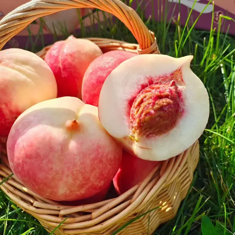 集安白桃毛桃桃子水果果园5斤装