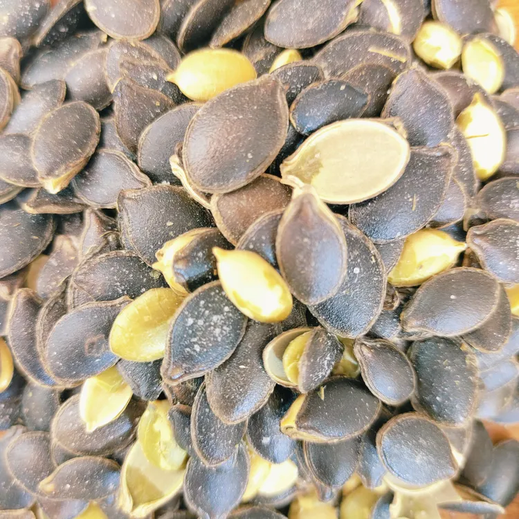 黑金刚南瓜子原味