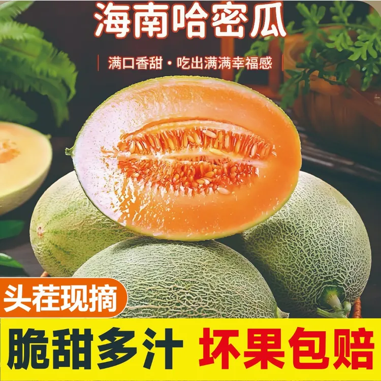 正宗海南哈密瓜新鲜水果甜瓜应季脆香蜜瓜现摘现发