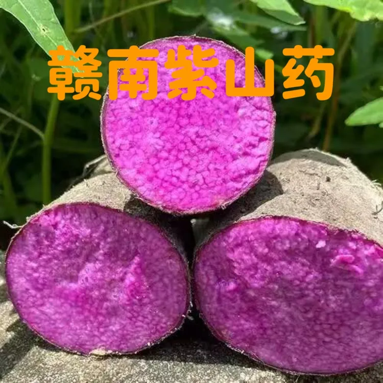 江西农家现挖自种紫淮山紫薯紫山药脚板薯