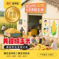 （试吃三根）25年头茬玉米 金箔黄甜糯玉米软糯香甜10棒 单棒约260g