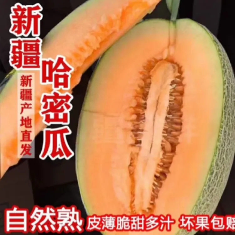新疆直发西州蜜25号哈密瓜现摘现发脆甜多汁新鲜当季水果