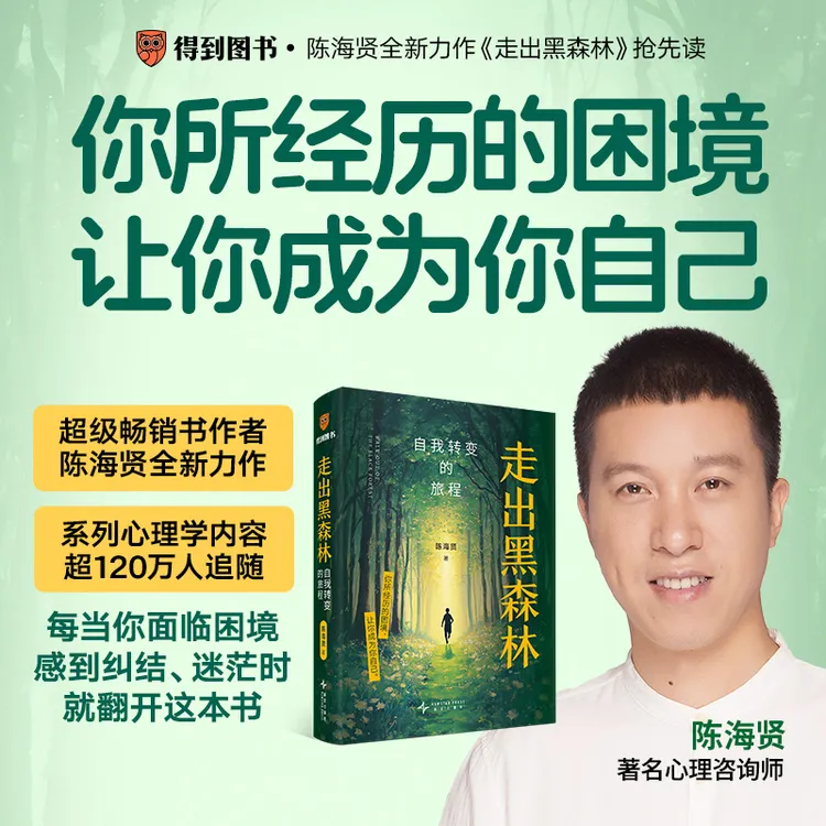 走出黑森林  给你一套走出低谷期，实现人生转变的系统手册