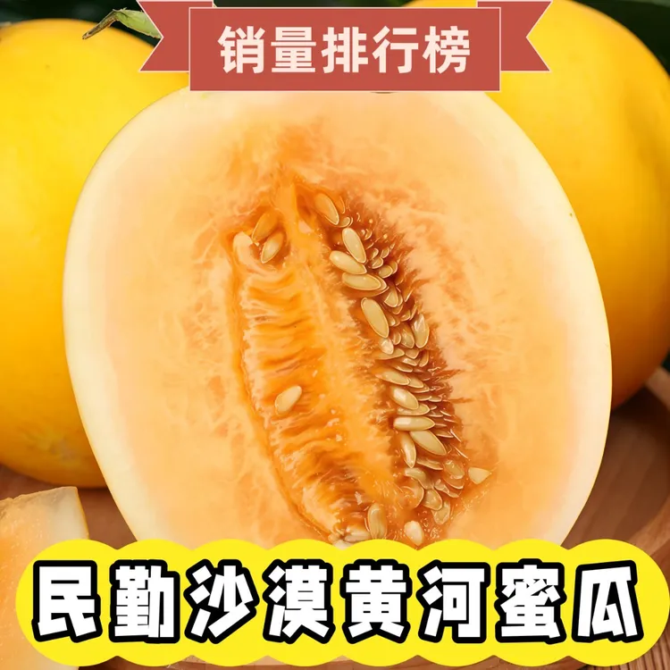 正宗甘肃民勤黄河蜜瓜沙漠甜瓜脆嫩多汁新鲜香瓜应季坏果包赔