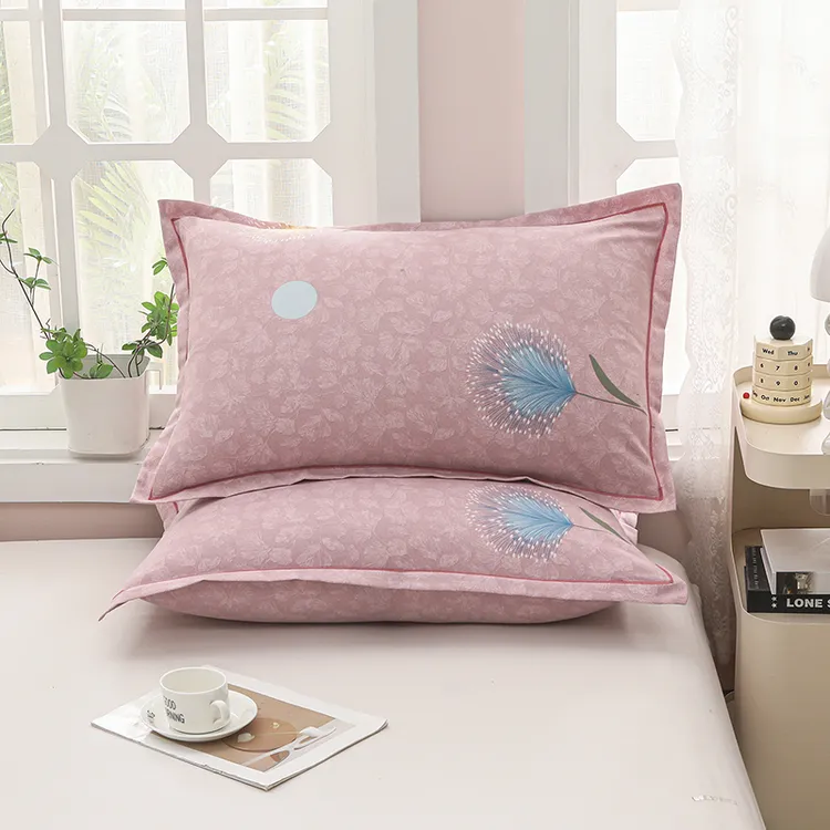 2025新款双层纱枕套一对2只48X74尺寸夏季家用宿舍学生枕套皮