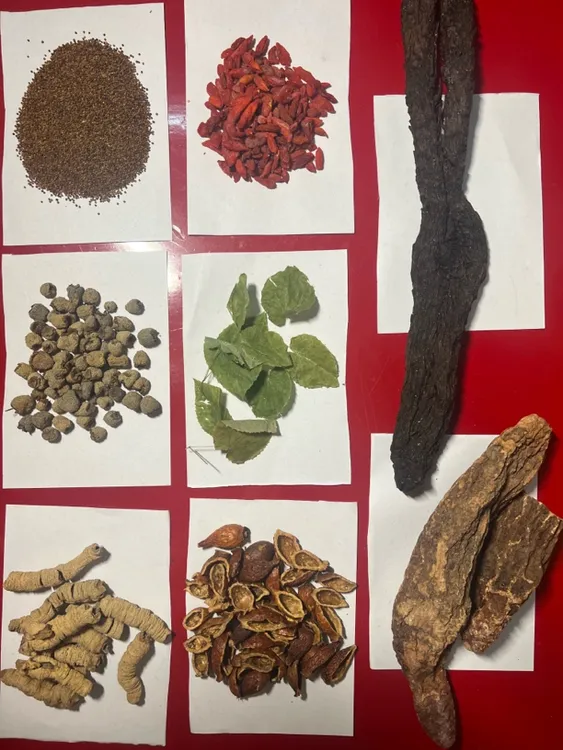 8种组合泡酒料 甘肃小圆叶羊羊锁锁肉肉 枸杞 加强版