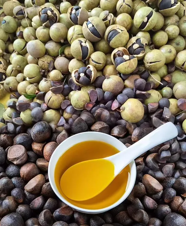 江西正宗茶油木子油小王子家深山油野生的