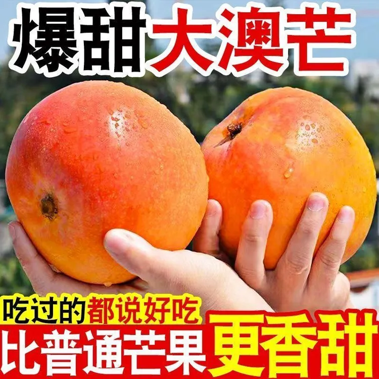 【云南苹果芒】正宗黄金苹果芒新鲜大芒果应当季现摘甜心芒精品果