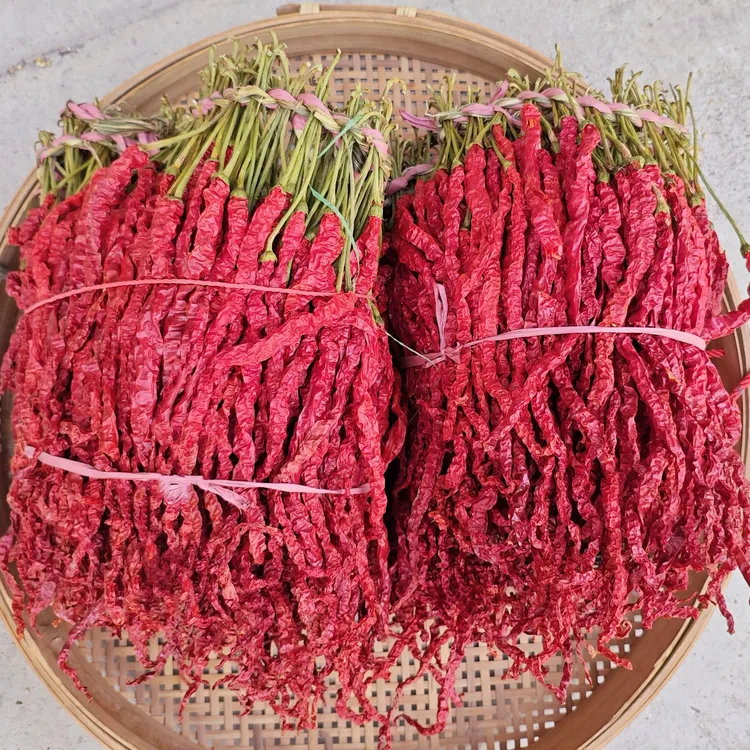 微辣特香二荆条辣椒贵州大方特产干辣椒皱椒线椒海椒香辣干货