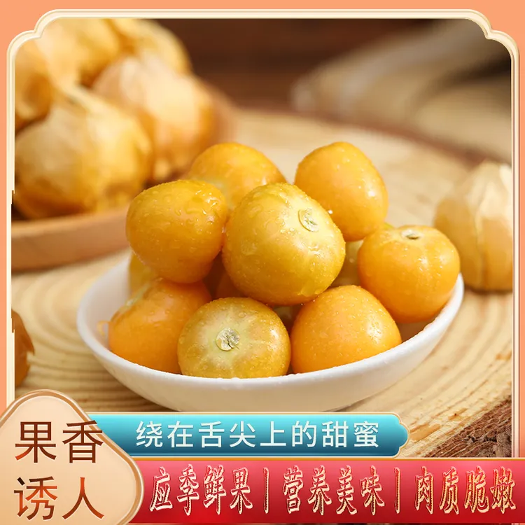 东北姑娘果灯笼果新鲜采摘香甜当季水果应季菇娘果