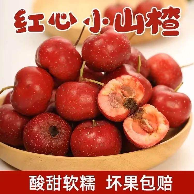 新鲜甜口小山楂自然成熟可做冰糖葫芦的优质山楂鲜果