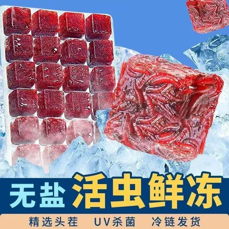 冰冻红虫高蛋白鱼食适合七彩兰寿泰狮六角恐龙等观赏鱼食用