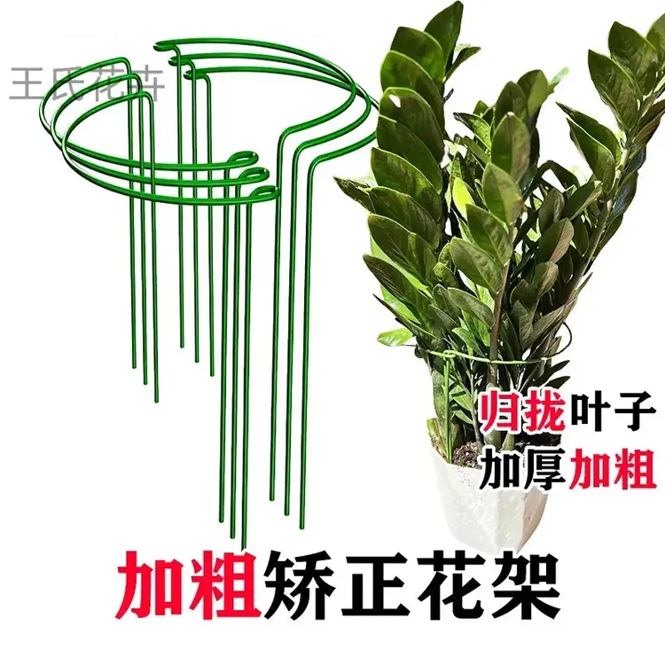 加厚加粗花卉支架花架防倒伏耷拉下垂固定矫正定形形体支撑叶片