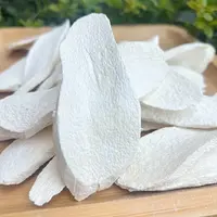 高山高海拔灵芝山药片 干片  
