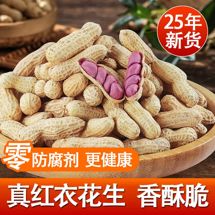 【配料干净】湿烤紫衣花生500g咸香五香蒜香味红衣带壳熟龙岩特产