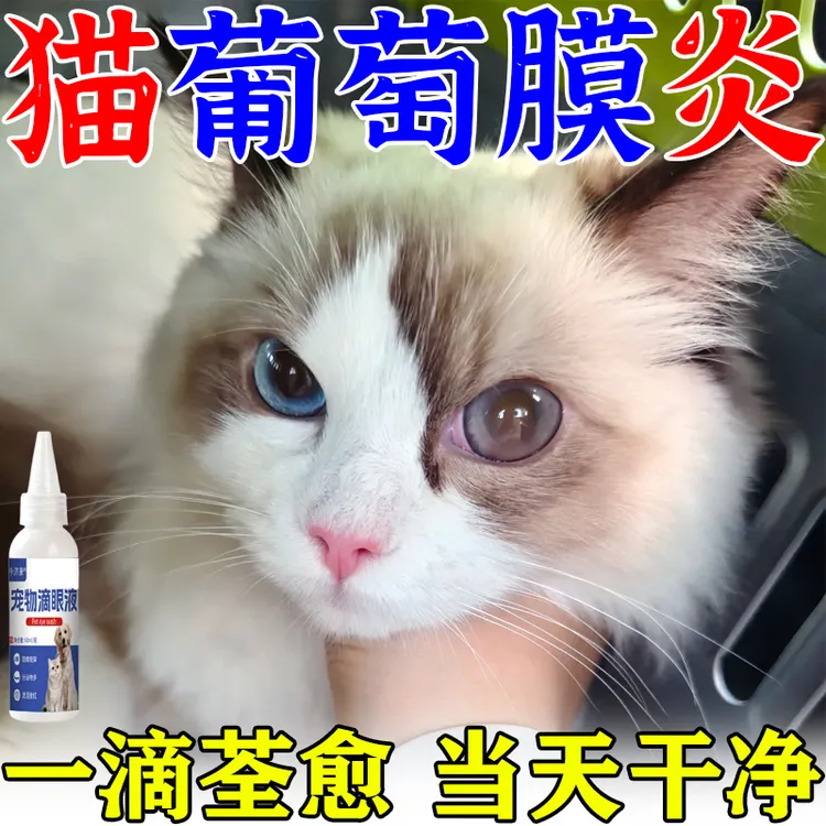 猫咪葡萄膜炎用什么滴眼液小猫眼睛睁不开流泪分泌物多干眼症专用