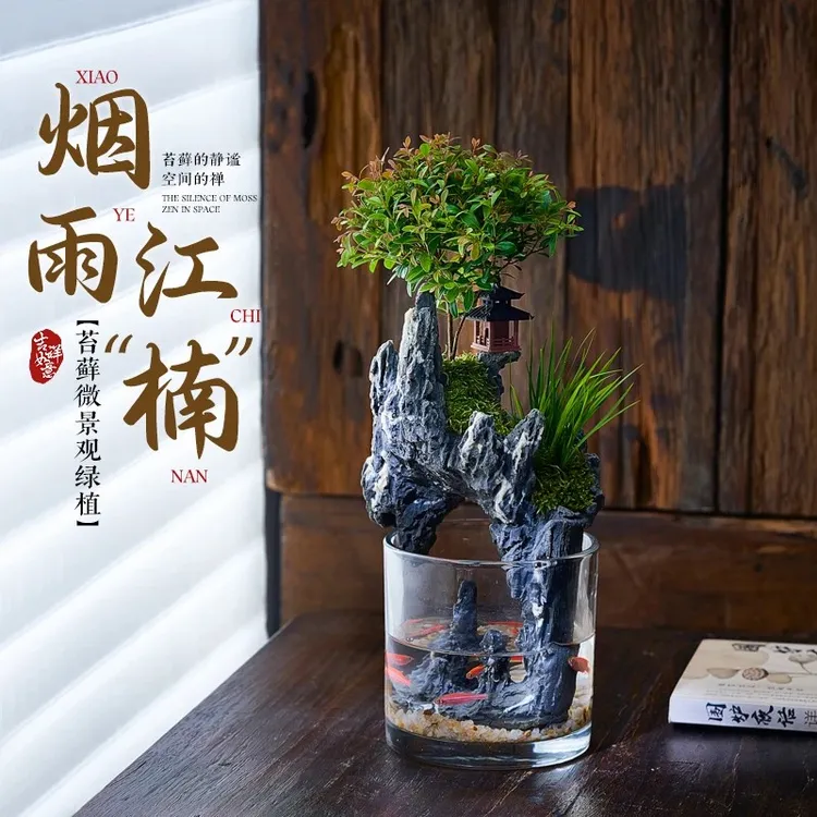 烟雨江南水陆微景观养鱼生态缸绿植造景真植物桌面摆件