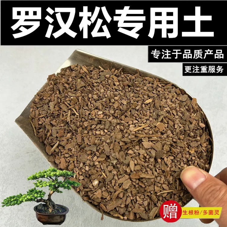 罗汉松专用土营养土赤玉土盆栽土风化土种植土酸性土沙质土颗粒土