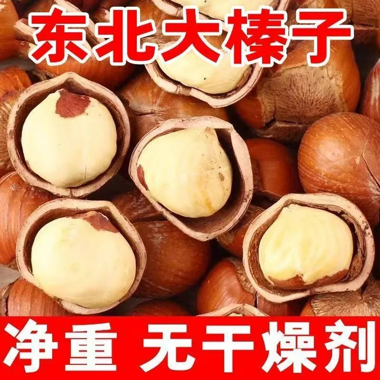 25年东北铁岭新鲜大榛子薄皮肉厚铁岭野生大榛子炒货坚果零食