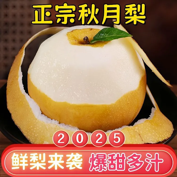 山东产地直发秋月梨皮薄细嫩化渣冰糖梨新鲜水果