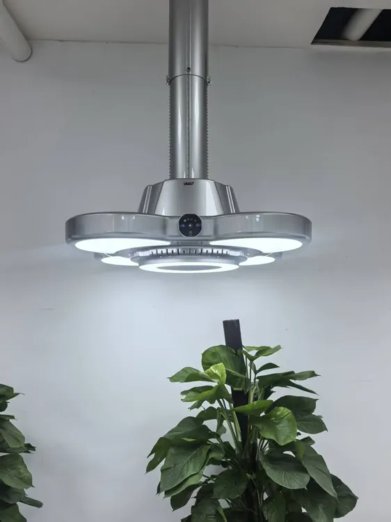 雀利康直外排烟灯麻将房升降室管道净化吊灯器吸烟灯棋牌室吸烟灯