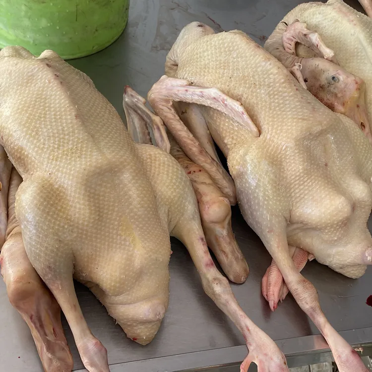农家散养大白鹅整只售卖鲜嫩可口适合铁锅红烧