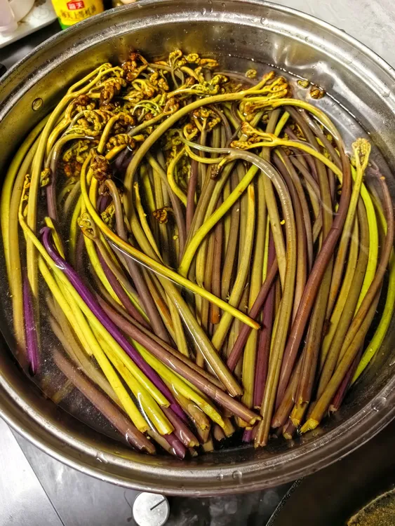 四川宜宾特产新鲜野生蕨菜龙爪菜凉拌泡菜腌菜食材蔬菜