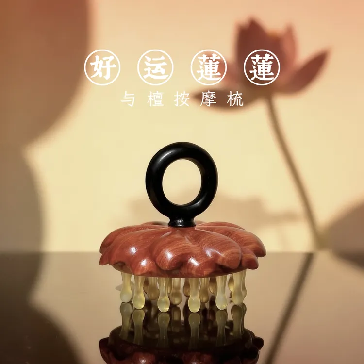 与檀好运莲莲头皮按摩梳子木梳子梳头疏通经络梳头部按摩神器套装