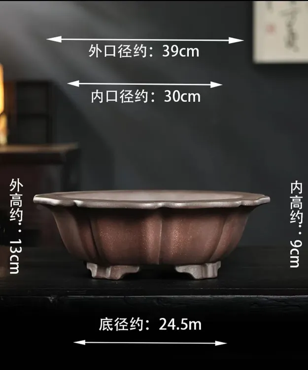 圆盆花瓣口宜兴紫砂花盆室内松柏海棠杜鹃盆景专用