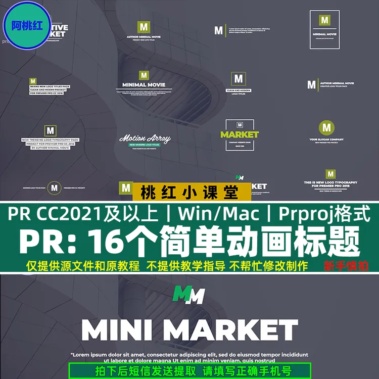 16个简约干净logo动画片头片尾MG动画标题模板