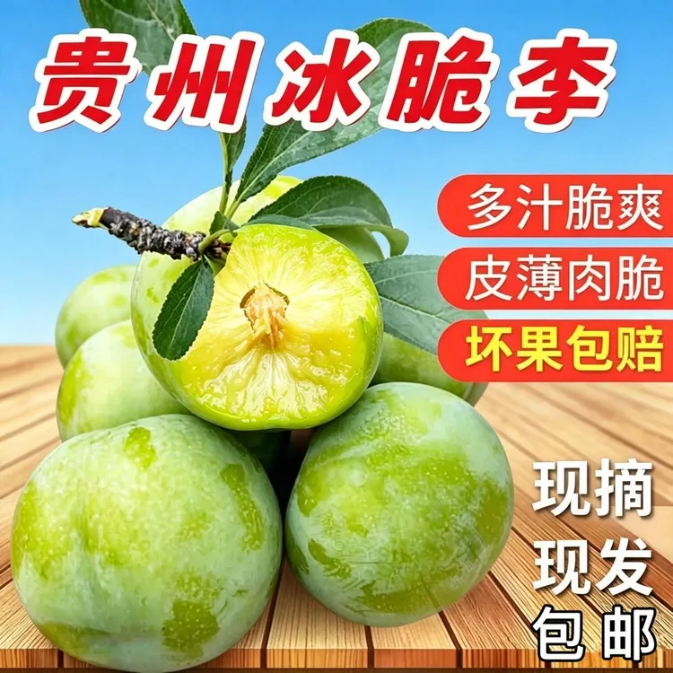 正宗贵州冰脆李青脆李脱骨李四月李新鲜现摘现发包邮商品图