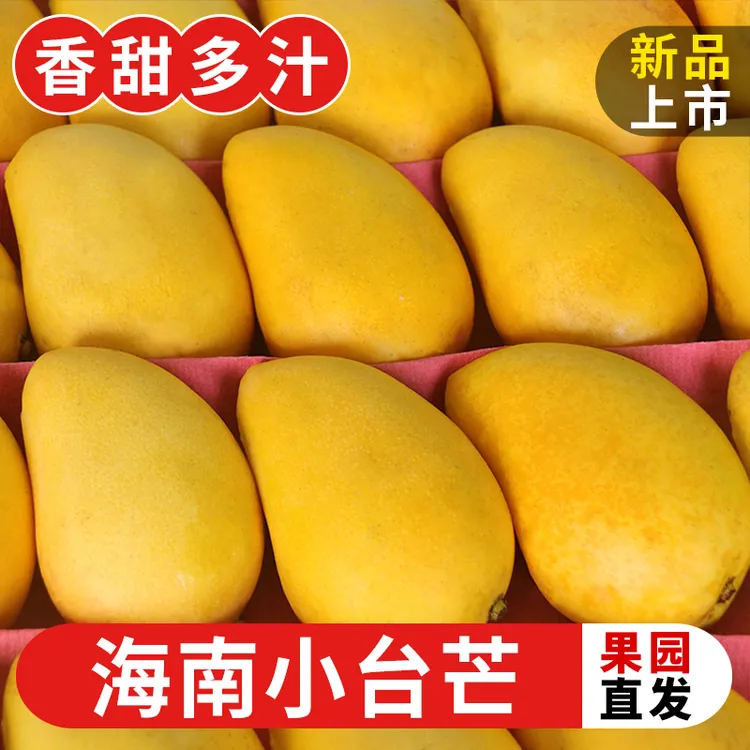 海南小台农芒果新鲜现摘小台芒果应当季热带水果特产整箱包邮
