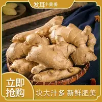 贵州发耳小黄姜又香又辣顺丰包邮到你家