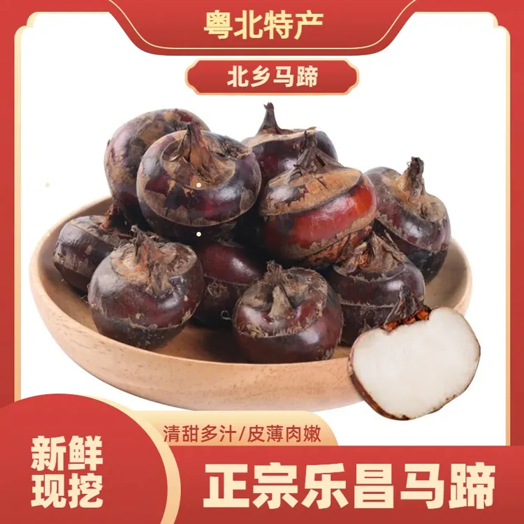 正宗韶关乐昌北乡红皮马蹄荸荠农家新鲜现挖清脆 多汁5/10斤