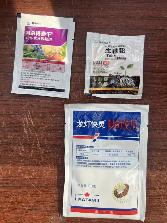 鑫海君子兰基地专用组合