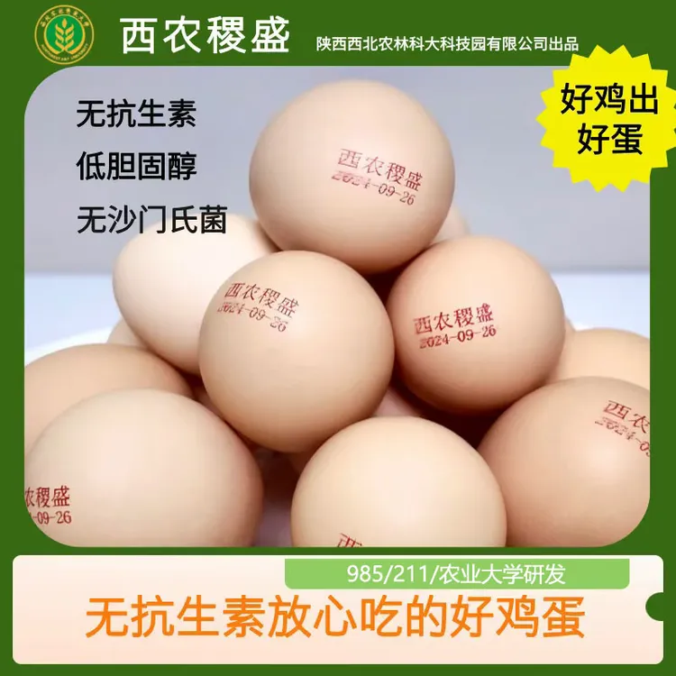 西农稷盛杜仲无抗可生食鸡蛋985/211农业大学无菌蛋40枚~