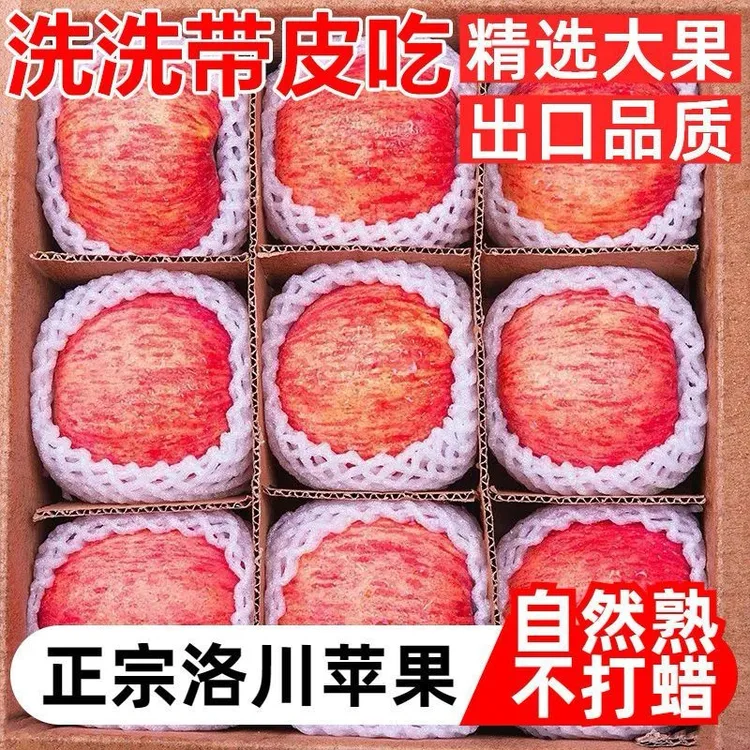 2025年正宗陕西洛川红富士苹果新鲜现摘现发当季新果应季脆甜多汁