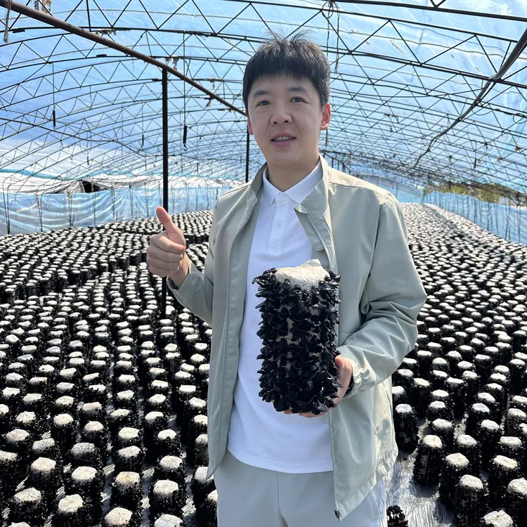 【小斌家2025年东北秋木耳】肉厚干净无增重不熏不染干货