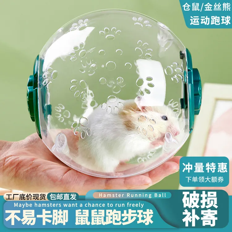 【仓鼠跑球】金丝熊跑轮跑步运动滚球透明外出携带户外玩具不卡脚