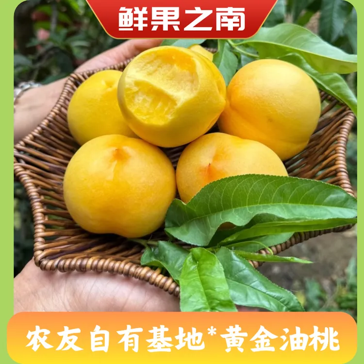 [顺丰包邮]新鲜应季山东蒙阴黄油桃黄金蜜桃脆甜多汁香甜可口